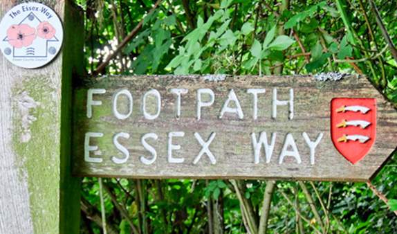 PFE_The Essex Way Footpath essex way