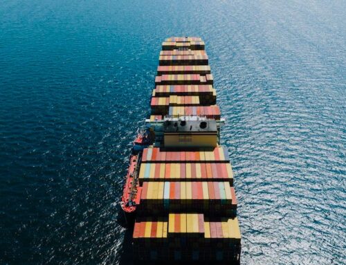 Weekly Update – 29/08/2025