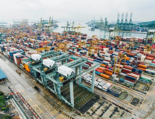 Weekly Update – 19/12/2025